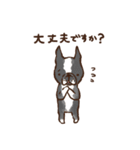 はなぺちゃ組【敬語編】（個別スタンプ：23）
