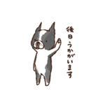 はなぺちゃ組【敬語編】（個別スタンプ：25）