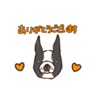 はなぺちゃ組【敬語編】（個別スタンプ：30）