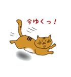 Neko部（個別スタンプ：4）