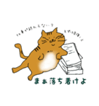 Neko部（個別スタンプ：5）