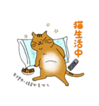 Neko部（個別スタンプ：6）