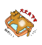 Neko部（個別スタンプ：12）