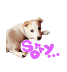 大好きはなこ（個別スタンプ：4）