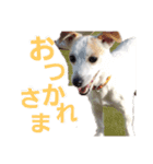 大好きはなこ（個別スタンプ：5）