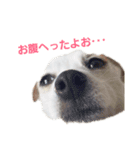 大好きはなこ（個別スタンプ：6）