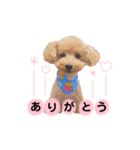 ネルスタンプ（個別スタンプ：1）