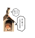 もふもふかぞく（個別スタンプ：40）
