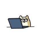 ねこれくと（個別スタンプ：14）