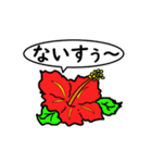 ハイビスカスの花（連絡用）（個別スタンプ：11）