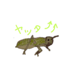 スタンピロミ（個別スタンプ：12）