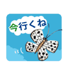 なは土産 龍柱会議 第2弾（個別スタンプ：13）