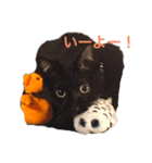 黒い塊（個別スタンプ：1）