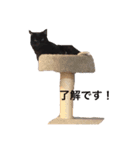 黒い塊（個別スタンプ：3）