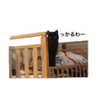 黒い塊（個別スタンプ：4）