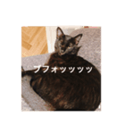 黒い塊（個別スタンプ：7）