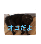 黒い塊（個別スタンプ：8）