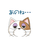 Roki and Coki（個別スタンプ：17）