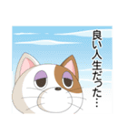 Roki and Coki（個別スタンプ：20）
