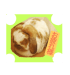 ロップイヤー王女ムム☆（個別スタンプ：8）