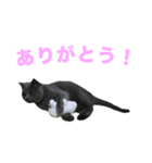 りんころすたんぷ（個別スタンプ：3）