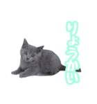 りんころすたんぷ（個別スタンプ：4）