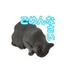りんころすたんぷ（個別スタンプ：5）