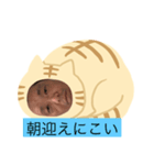 ネコだーまん（個別スタンプ：1）