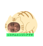 ネコだーまん（個別スタンプ：5）
