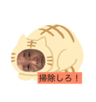 ネコだーまん（個別スタンプ：7）
