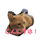 まんたろうスタンプ（個別スタンプ：2）