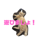 まんたろうスタンプ（個別スタンプ：7）