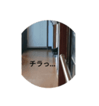 黒柴スタンプ2（個別スタンプ：7）