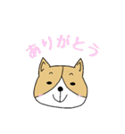 ゆるゆるコーギー1（個別スタンプ：1）