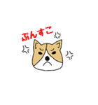 ゆるゆるコーギー1（個別スタンプ：5）