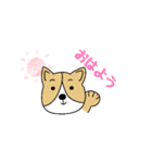 ゆるゆるコーギー1（個別スタンプ：9）