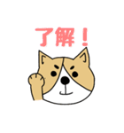 ゆるゆるコーギー1（個別スタンプ：15）