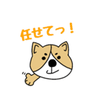 ゆるゆるコーギー1（個別スタンプ：20）