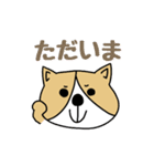 ゆるゆるコーギー1（個別スタンプ：22）