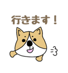 ゆるゆるコーギー1（個別スタンプ：26）