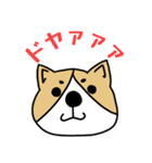ゆるゆるコーギー1（個別スタンプ：28）