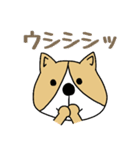 ゆるゆるコーギー1（個別スタンプ：32）