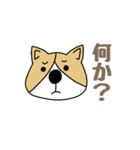 ゆるゆるコーギー1（個別スタンプ：34）
