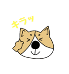 ゆるゆるコーギー1（個別スタンプ：35）