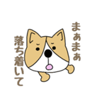 ゆるゆるコーギー1（個別スタンプ：36）