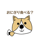 ゆるゆるコーギー1（個別スタンプ：37）