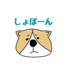 ゆるゆるコーギー1（個別スタンプ：40）