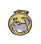 チンチラてがきスタンプ（個別スタンプ：4）