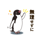 気さくなペンギン 敬語編（個別スタンプ：18）