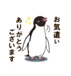 気さくなペンギン 敬語編（個別スタンプ：31）
